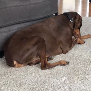 Meet your Posher, Mike